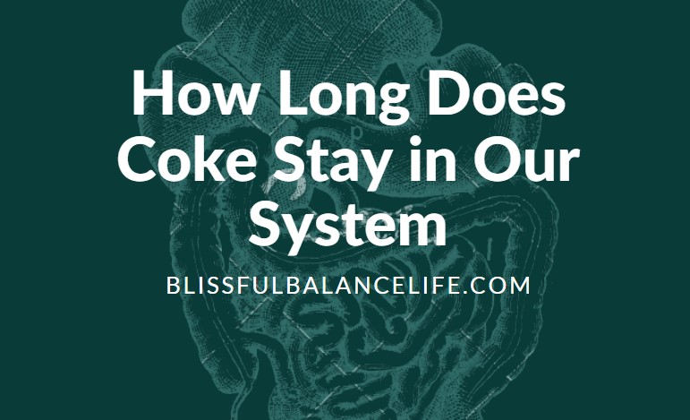How Long Does Coke Stay in Our System